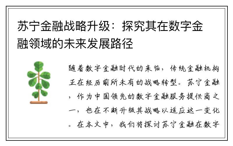 苏宁金融战略升级：探究其在数字金融领域的未来发展路径